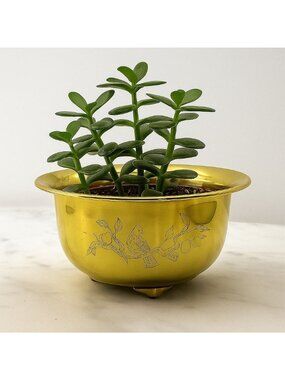 Vintage Etched Brass Footed Bowl Birds Branches Planter Dish 1960s MCM Decor